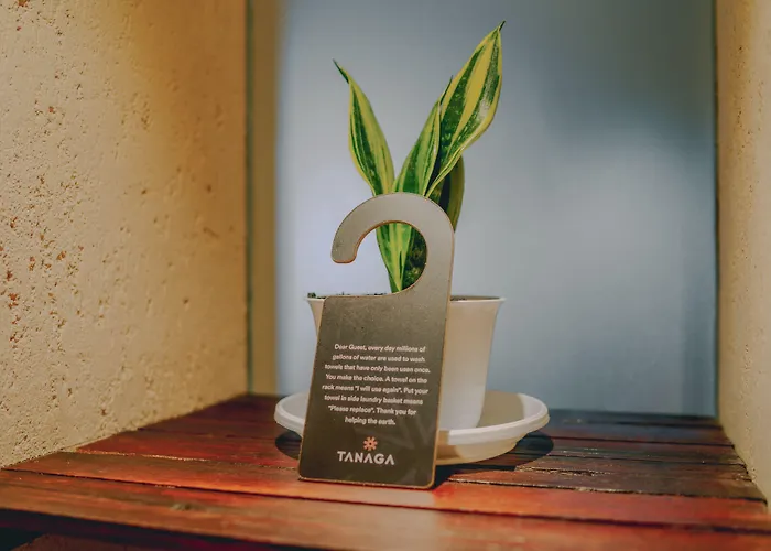 Tanaga Coliving Hotel 3*